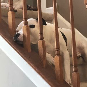 Meet your Posher, Roderick